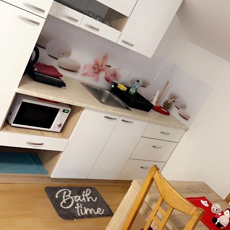 Apartments And Wellness Scavnicar リュトメル エクステリア 写真