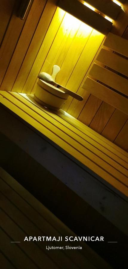 Apartments And Wellness Scavnicar リュトメル エクステリア 写真