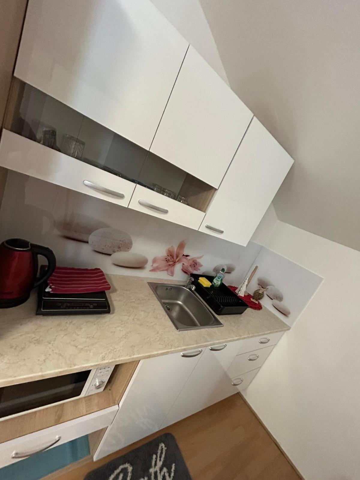 Apartments And Wellness Scavnicar リュトメル エクステリア 写真