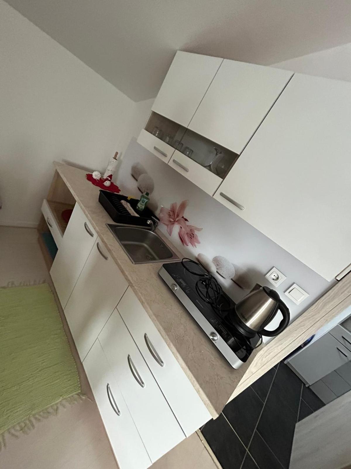 Apartments And Wellness Scavnicar リュトメル エクステリア 写真